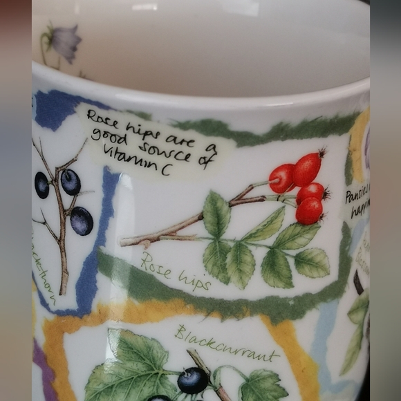 Dunoon Fine Bone China "Nature's Garden" Floral Mug - Picture 6 of 10